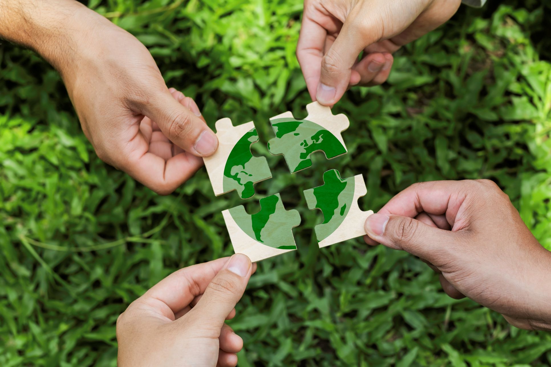 Amikor az ESG a mindennapok részévé válik – Belső felelősségvállalás a vállalati gyakorlatban