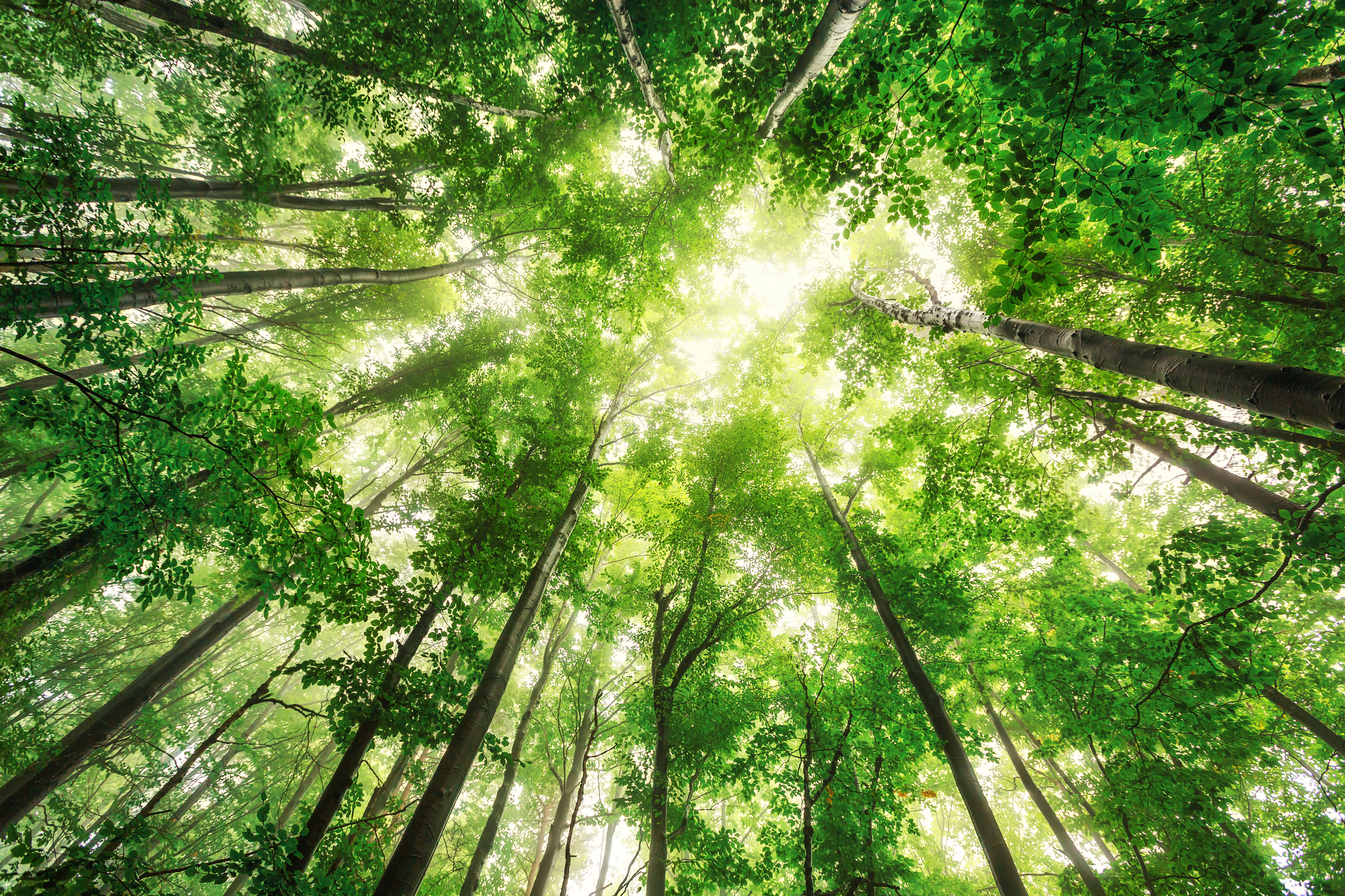 A GHG Protocol szerepe az ipar dekarbonizációjában, a fenntartható energiahatékonyság fejlesztésében.